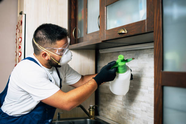 Best Commercial Pest Control Services  in Centralia, IL