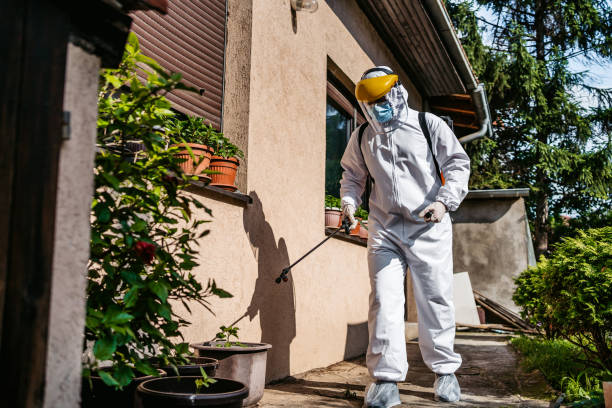 Best Rodent Control Near Me  in Centralia, IL