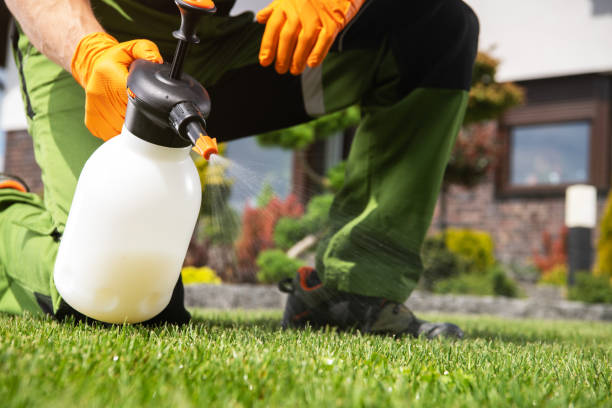 Best Termite Control Services  in Centralia, IL