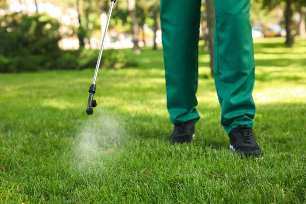 Best Mosquito Control Services  in Centralia, IL