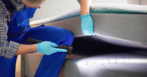 Best Best Pest Control Near Me  in Centralia, IL