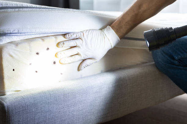 Best Flea Control Services  in Centralia, IL