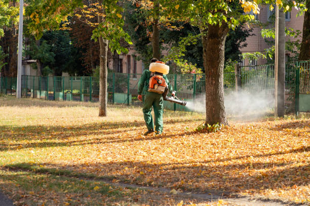 Best Residential Pest Control  in Centralia, IL