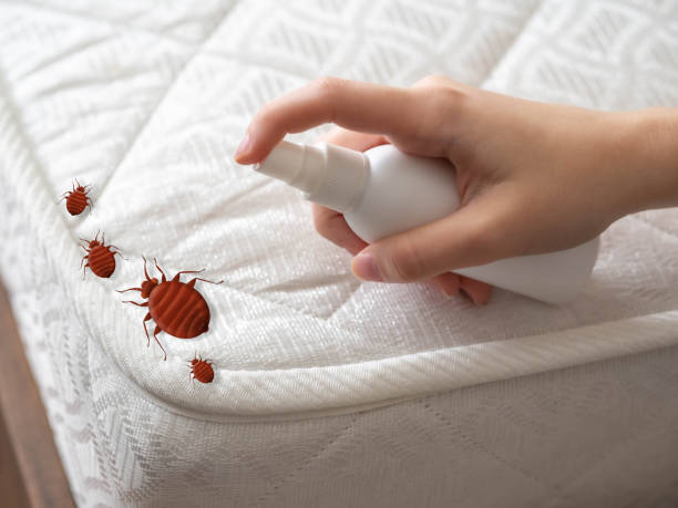 Best Cockroach Control Services  in Centralia, IL