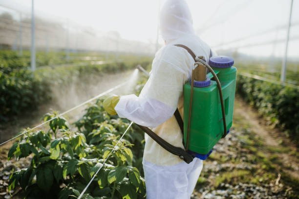 Best Pest Control Near Me  in Centralia, IL